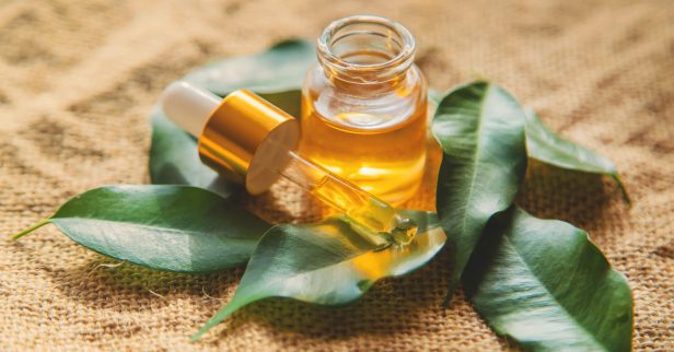 Công dụng tinh dầu tràm tuyệt vời dành cho mẹ bỉm sữa