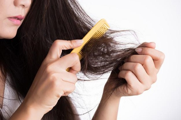 Top 8 thực phẩm tốt cho tóc rụng và cách ngăn ngừa rụng tóc hiệu quả • Hello Bacsi
